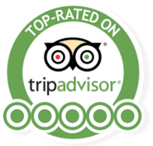 Terrible Tours Top Rated on Trip Advisor for Walking Tours in Cambridge